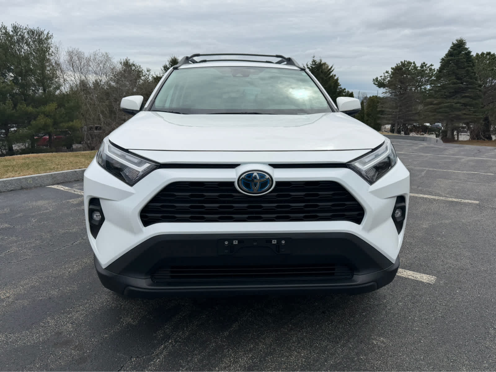 2023 Toyota RAV4 Hybrid Woodland