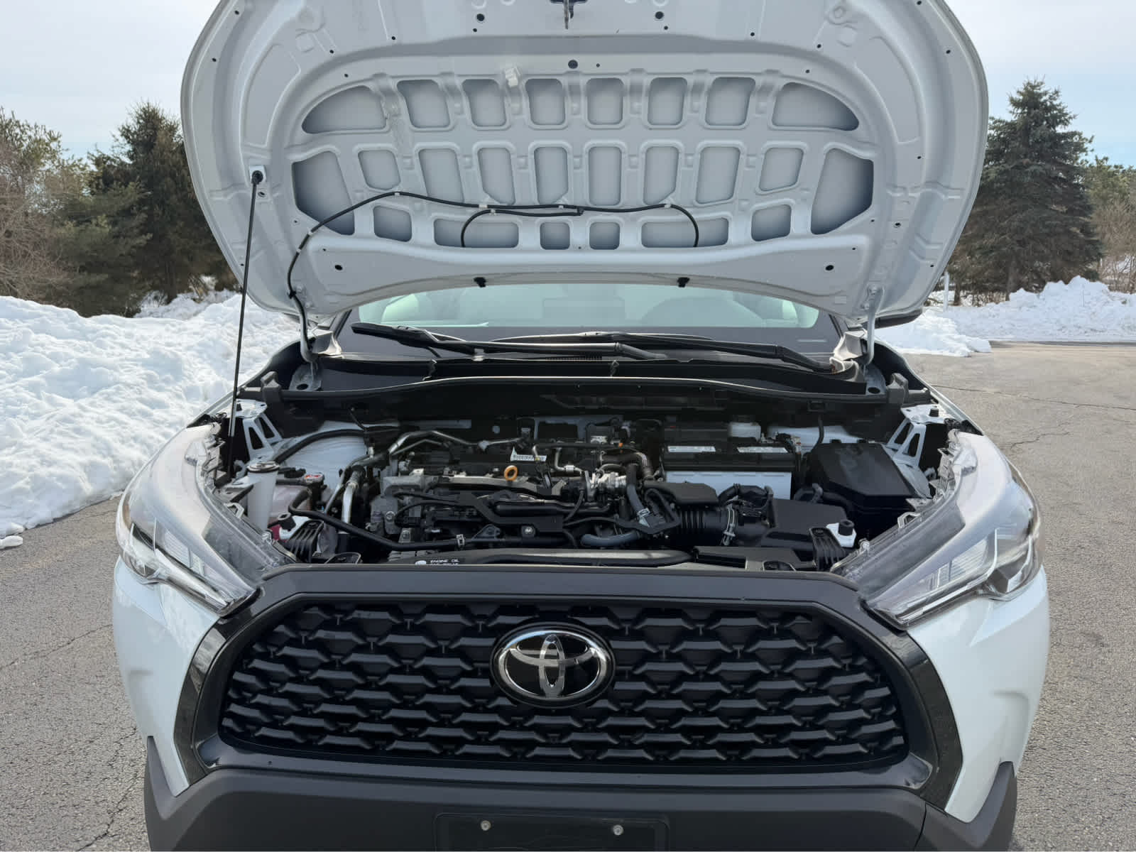 2023 Toyota Corolla Cross LE