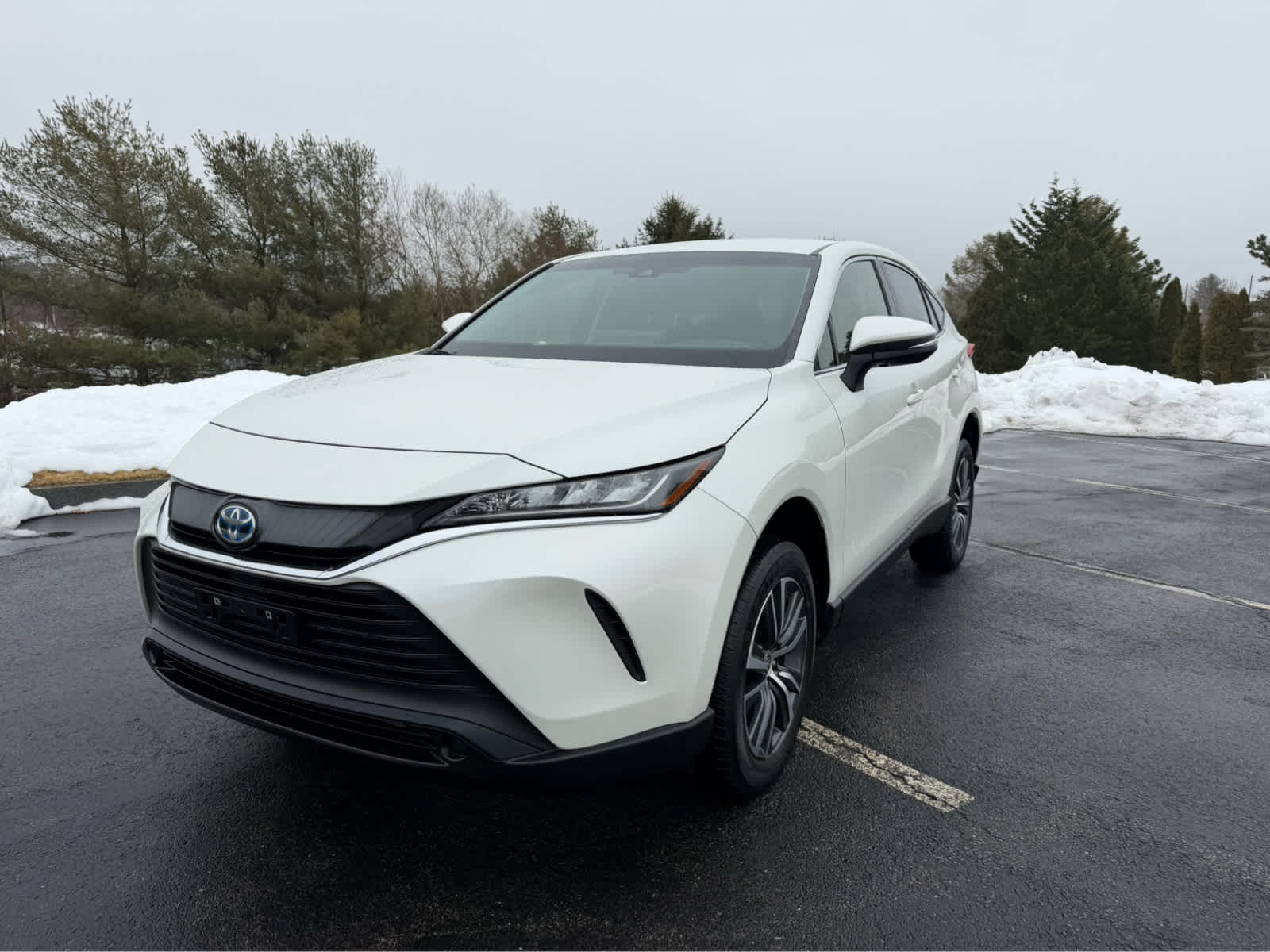 2022 Toyota Venza LE