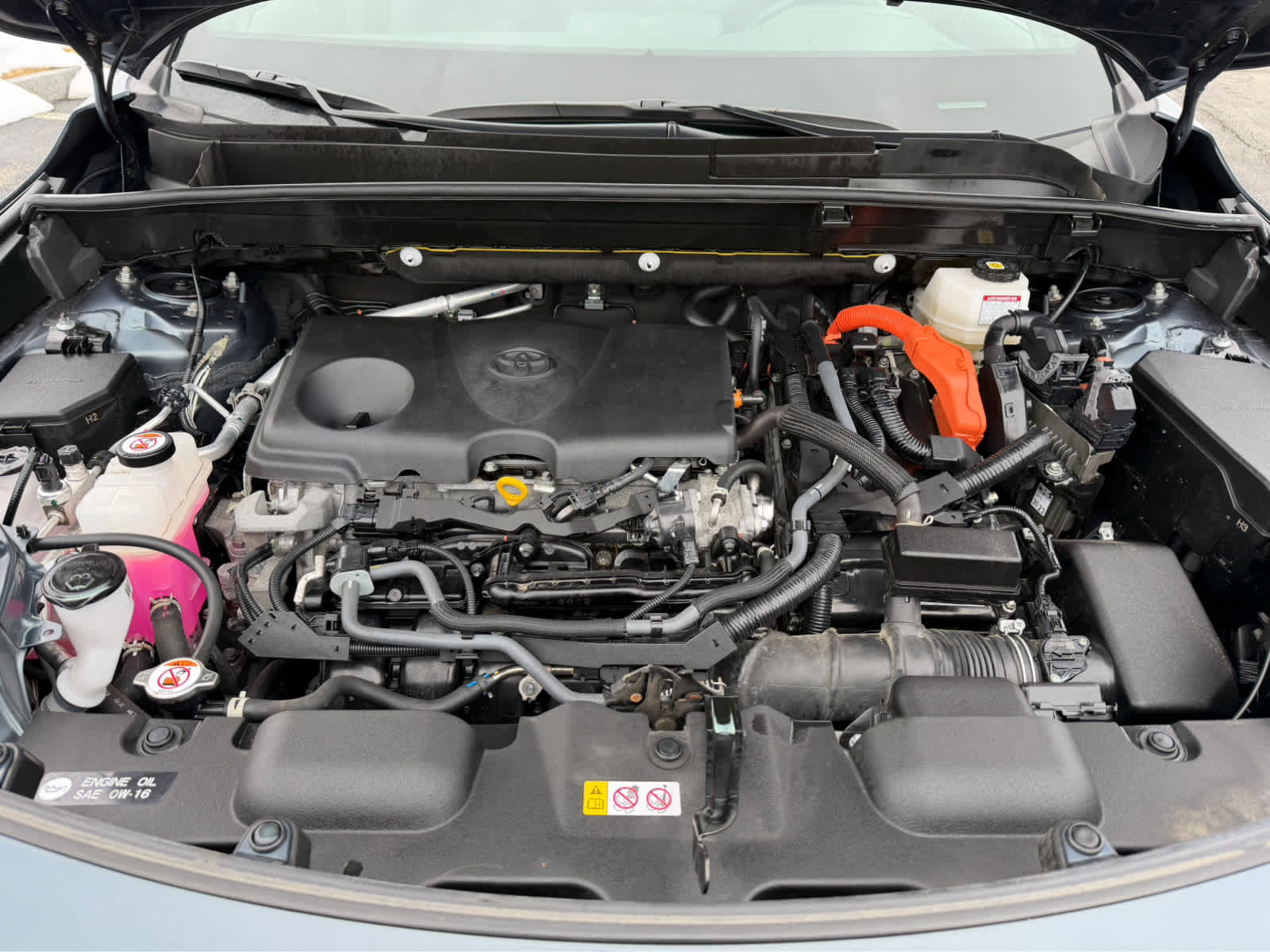 2024 Toyota Venza Limited