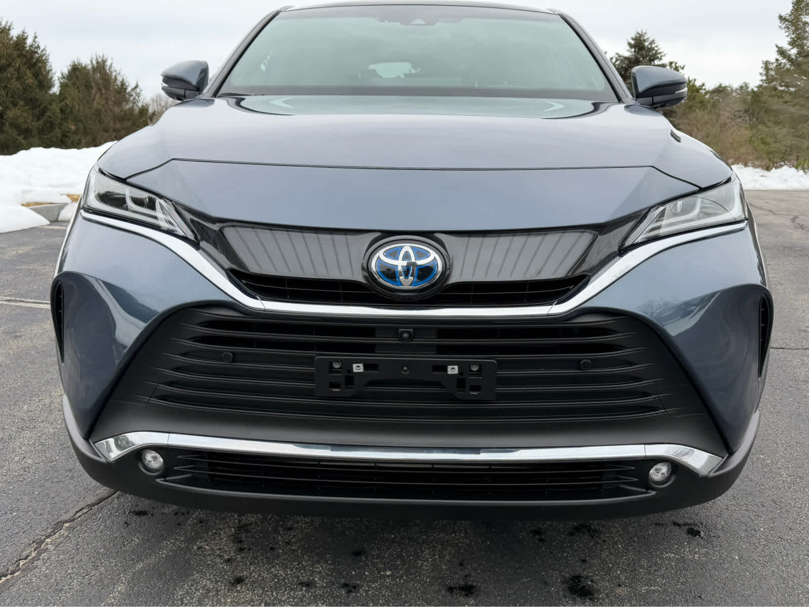 2024 Toyota Venza Limited