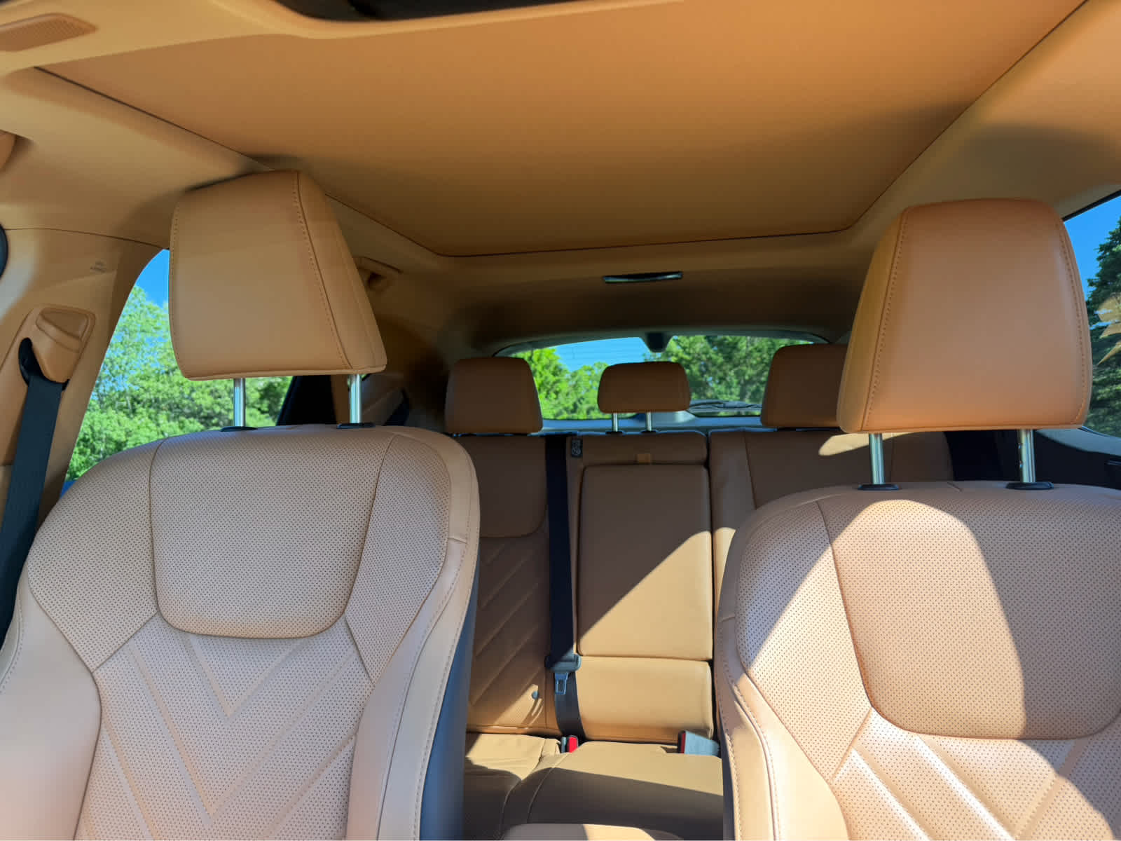 2025 Lexus NX 450h+ Luxury