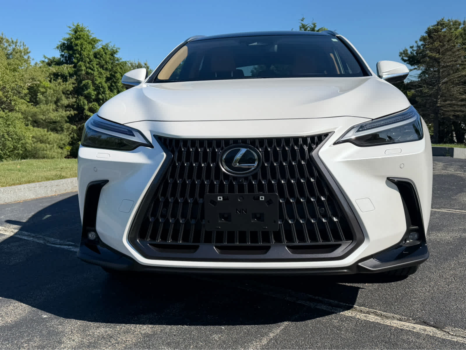 2025 Lexus NX 450h+ Luxury