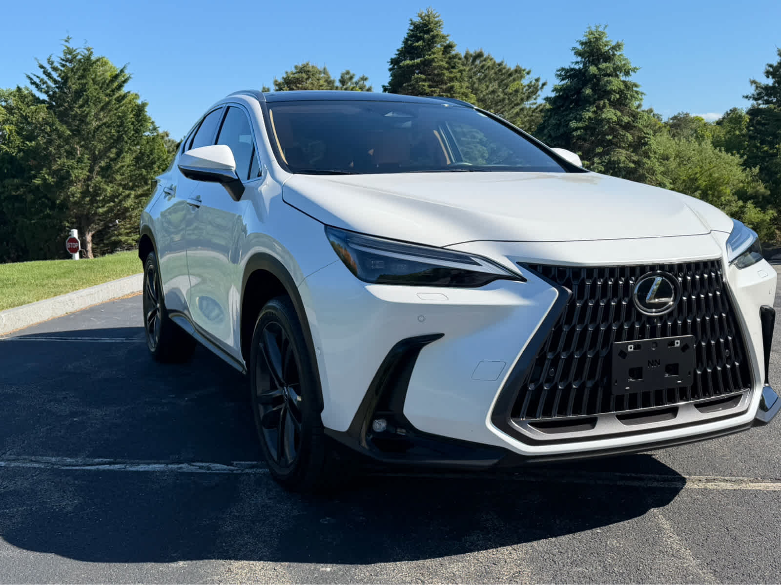 2025 Lexus NX 450h+ Luxury