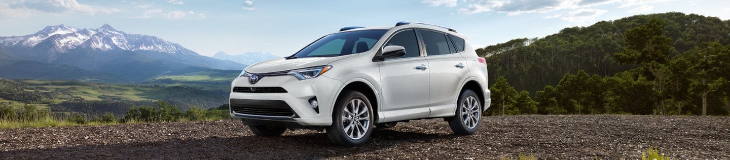 New 2018 Toyota RAV4 AWD SUV Trim Guide at Falmouth Toyota, Bourne, MA - Cape Cod Dealership